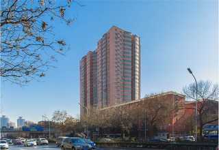 镇江大颗粒元明粉品牌