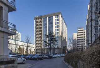 印度尼西亚幼年辣椒红龙哪家好